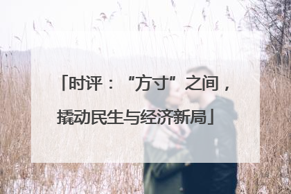时评：“方寸”之间，撬动民生与经济新局